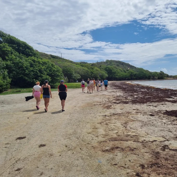 A photo of 11 students walking facing away from the camera. They are walking down the beach. The sea is on the right-hand side of the photo and the greenery is on the left. The sky is slightly cloudy.