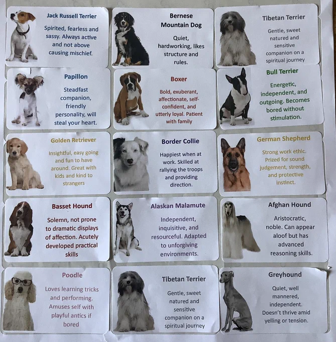 Stickers with 15 different dog breeds on, each with qualities such as hard working, insightful, well-mannered etc on them.