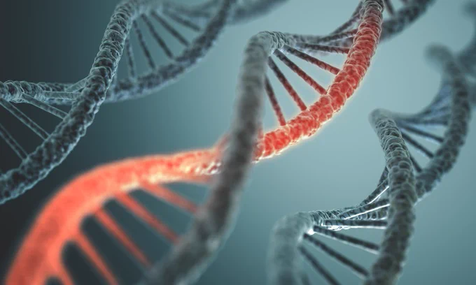 DNA structure