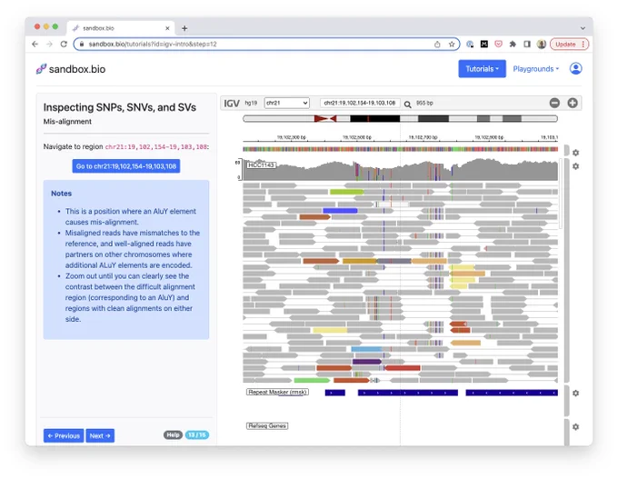 Screenshot of the IGV tutorial. Instructions on the left, and an IGV visualization on the right, showing misalignments caused by an Alu element.