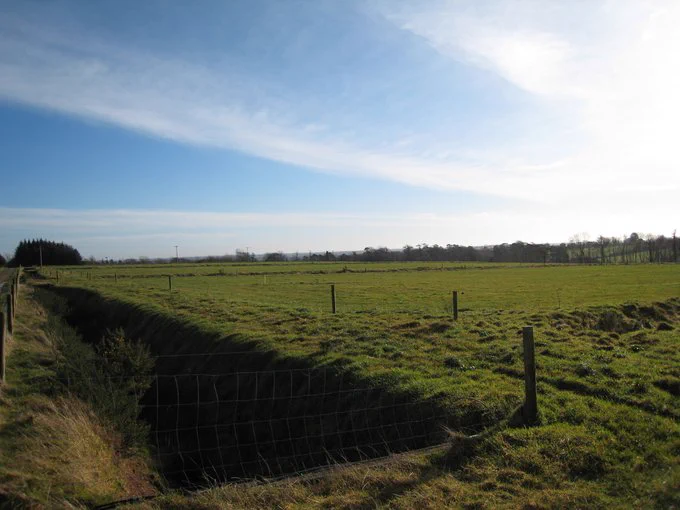 Field of grassland and ditch