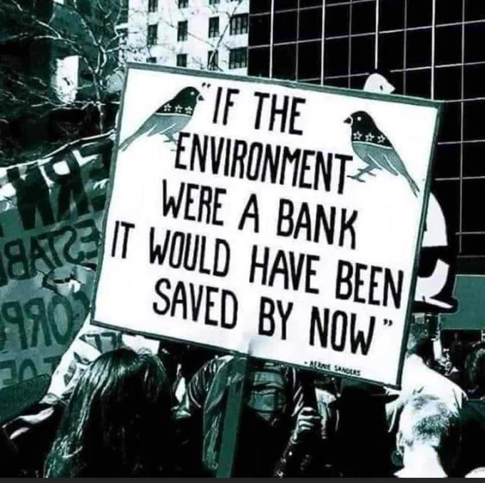 The banks pour into the fossil fuel industry, driving climate chaos & causing deadly local community impacts. Image with quote "If the environment were a bank it would have been saved by now"