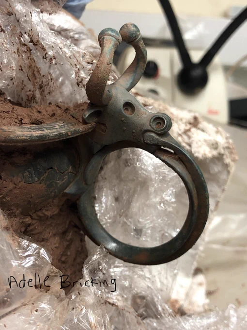 Side view of the ox head escutcheon. You can clearly see the curvature of the face and the round cheeks of the ox and the handle that protrudes from its mouth and chin forming a perfect loop. You can also see the twisting detail of the horns.