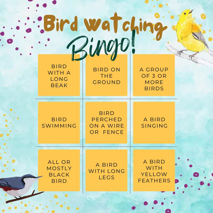 bingo card with a yellow bird and grey bird image. Card items include bird with a long beak. Bird on the ground. A group of 3 or more birds. Bird swimming. Bird perched on a wire or fence. A bird singing. All or mostly black bird. A bird with long legs. A bird with yellow feathers.