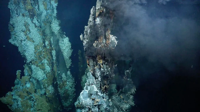 A high-temperature hydrothermal vent field discovered on Puy des Folles Seamount on the Mid-Atlantic Ridge, at approximately 2,000 meters (6,562 feet) in depth, during the In Search of Hydrothermal Lost Cities expedition. Image courtesy of Schmidt Ocean Institute.