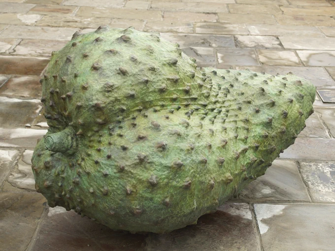 Soursop sculpture.