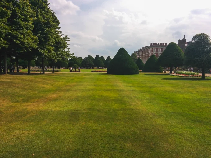 Greenery at a park.

Photo by Dom J: https://www.pexels.com/photo/green-grass-field-227391/