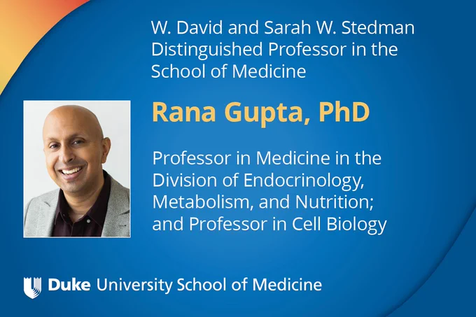 W. David and Sarah W. Stedman Distinguished Professor in the School of Medicine 
Rana Gupta, PhD 

Rana Gupta, PhD 