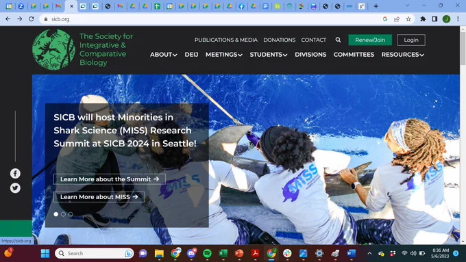 Screenshot of the Society for Integrative and Comparative Biology's webset with an announcement that says "SICB will host Minorities in Shark Sciences (MISS) Research Summit at SICB 2024 in Seattle" and links to learn more abou the Summit and learn more about MISS.