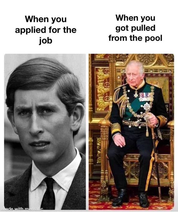 Two pictures side by side. One of a young Prince Charles with the caption "When you applied for the job" and a current picture of King Charles on the British throne with the caption "When you got pulled from the pool"