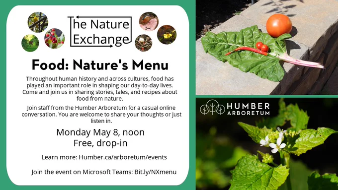 Photos of garden vegetables and garlic mustard. The Nature Exchange logo. Food: Nature's Menu. Throughout human history and across cultures, food has played an important role in shaping our day-to-day lives. Come and join us in sharing stories, tales, and recipes about food from nature. Join staff from the Humber Arboretum for a casual online conversation. You are welcome to share your thoughts or just listen in. Monday May 8, noon, free drop-in. Learn more at Humber dot see eh slash arboretum slash events. Join the event on Microsoft Teams at Bit dot lee slash N X menu.