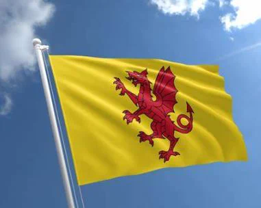 Somerset flag - yellow flag with red dragon