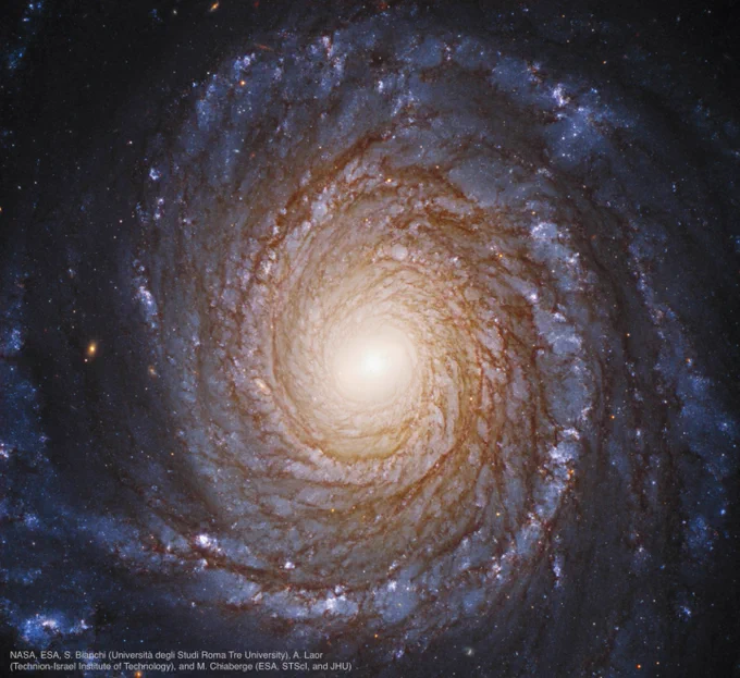 An image of NGC 3147, a spiral galaxy, located 130 million light-years away in the northern circumpolar constellation Draco the Dragon.