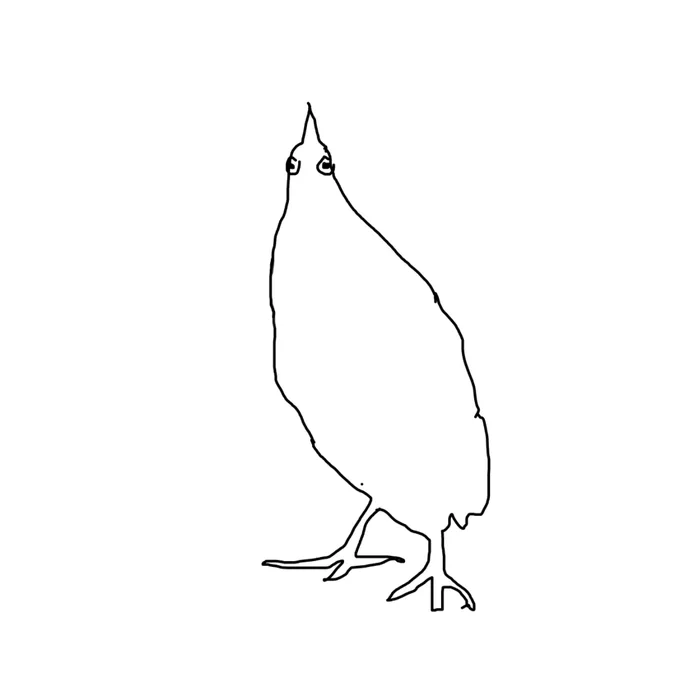 an outline of the same bird against a white background but now it looks like it has a pointy hat instead of a long beak 