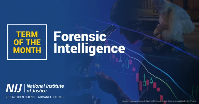 Term of the Month: Forensic Intelligence
