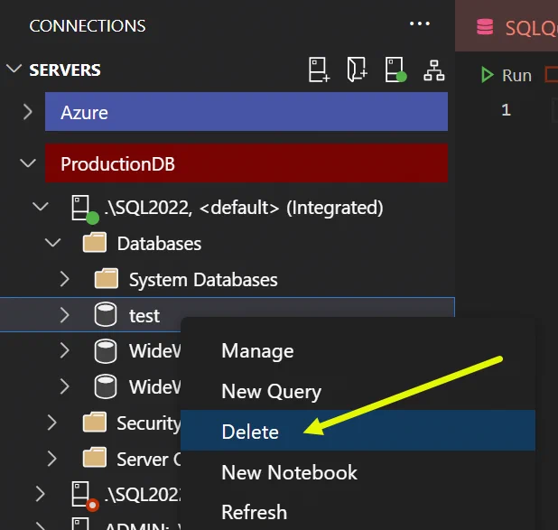 Right-click menu on a SQL database, showing Delete option