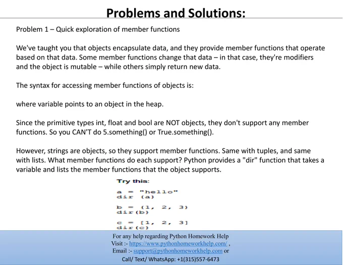 Python Homework Help