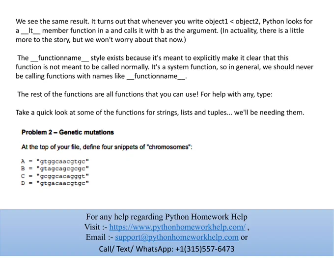 Python Homework Help