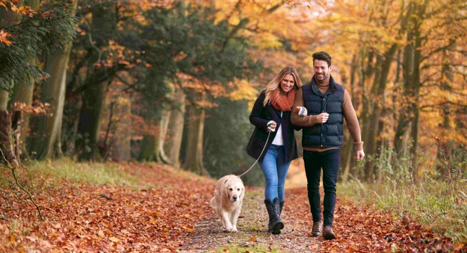 The image shows a female and male walking on a path in the woods with a golden retriever dog on a lead.