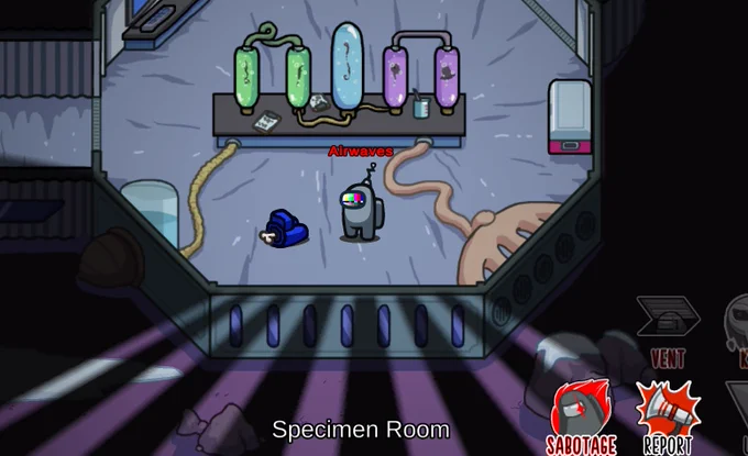 Gray Impostor beside a Blue corpse in the Polus Specimen Room.