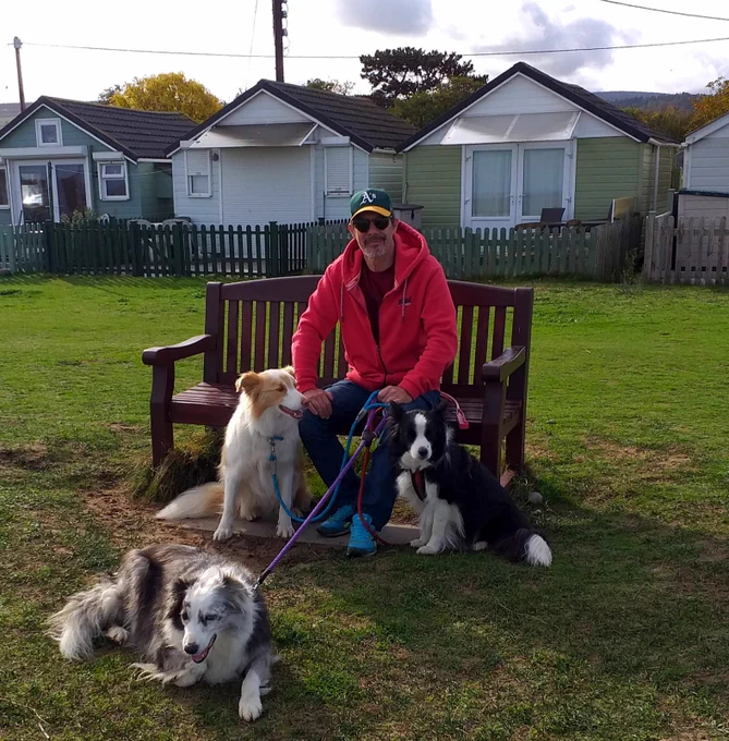 3 collie dogs at Dunster Beach