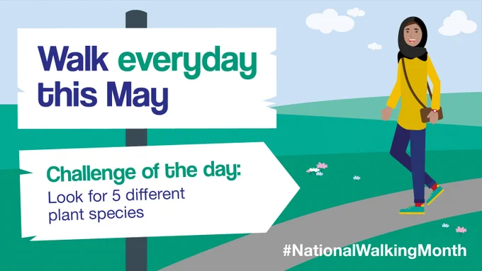 An illustrative graphic showing a woman in a yellow top, blue jeans and black hijab with a brown handbag walking along a path, with a sign featuring the following text, 'Walk everyday this May - Challenge of the day: Look for 5 different plant species.'