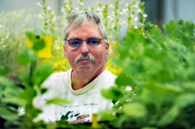 A headshot of Jeffery Dangl in a garden.