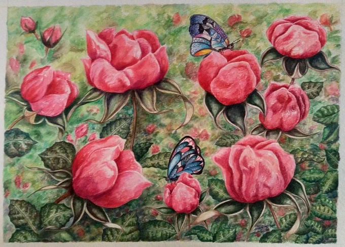 A horizontal, rectangular picture of an original artwork on a white surface. The white surface borders the painting in a very thin line on all 4 sides. The painting depicts 8 pink roses in th forefront, two butterflies resting atop them, leaves and branches and greenery and more flowers in the background.