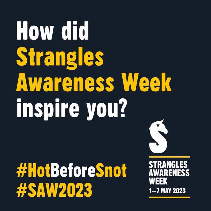 A graphic which says How did Strangles Awareness Week inspire you?