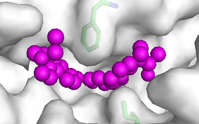 1938 P13K activator bound to P13Kalpha