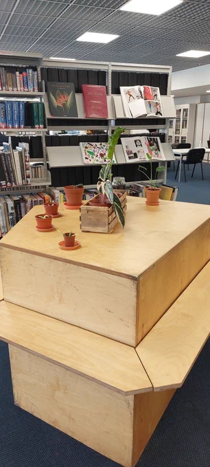 photo of plants in library