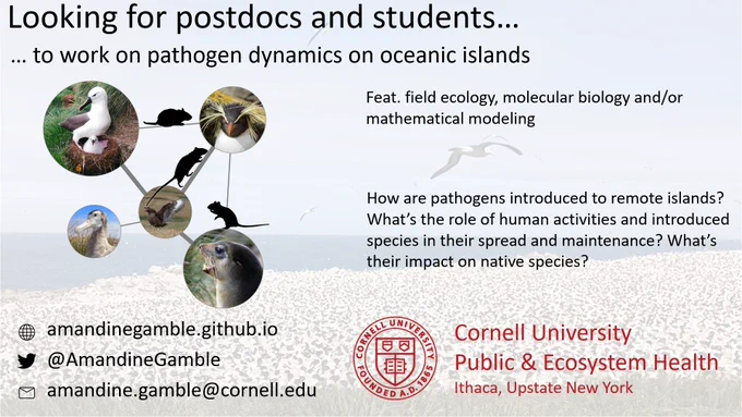 Looking for postdocs and students to work on pathogen dynamics on oceanic islands from Cornell University Public & Ecosystem Health Department in Ithaca, Upstate New York. Feat. field ecology, molecular biology and/or mathematical modeling. Some of the questions we aim to explore include: How are pathogens introduced to remote islands? What’s the role of human activities and introduced species in their spread and maintenance? What’s their impact on native species? More info at amandinegamble.github.io or at amandine.gamble@cornell.edu. 