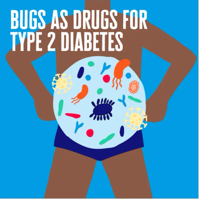 Image shows an illustration of gut 'bugs' and bacteria. Text reads 'bugs as drugs for type 2 diabetes'
