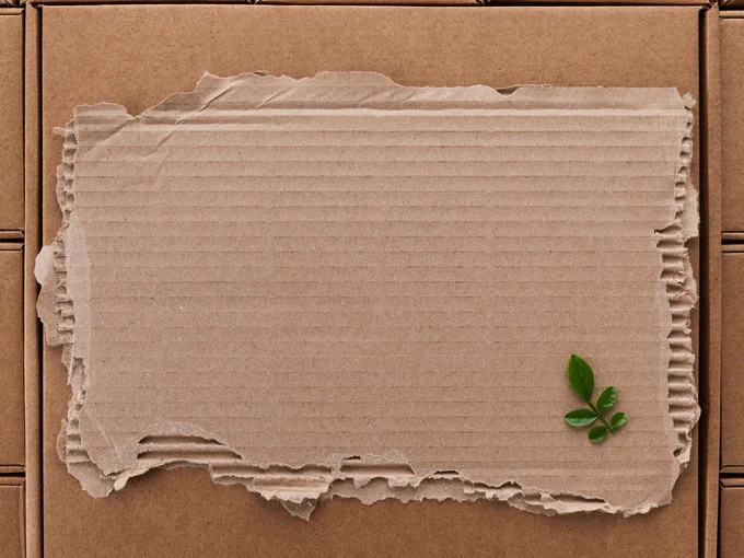 A photograph of a piece of cardboard ripped into a vaguely rectangular shape. It has been placed atop a neat pile of fully-formed, fibre-based boxes. On top of the cardboard, a small sprig of plant with five green, waxy leaves. 