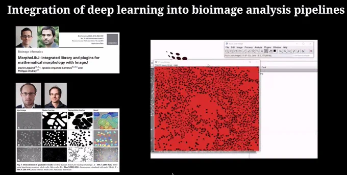 Integration of deep learning into bioimage analysis pipelines. It shows the interface of Fiji and the paper "MorphoLibJ: integrated library and plugins for mathematical morphology with ImageJ"