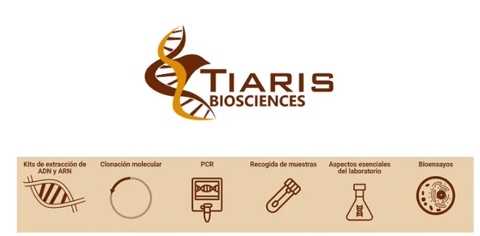 https://dicsa.es/actualidad