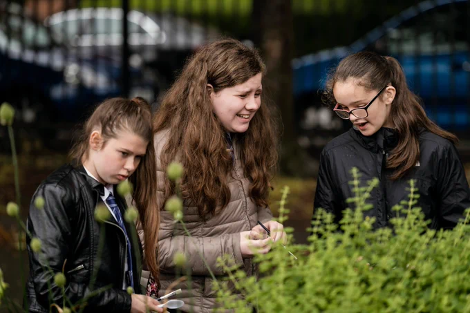 Secondary school pupils studying a shrub in the school grounds during an outdoor lesson.