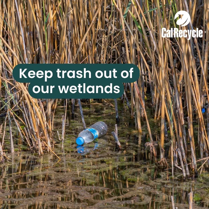 Image of a wetland with  a littered plastic bottle. Text: "Keep trash out of our wetlands"