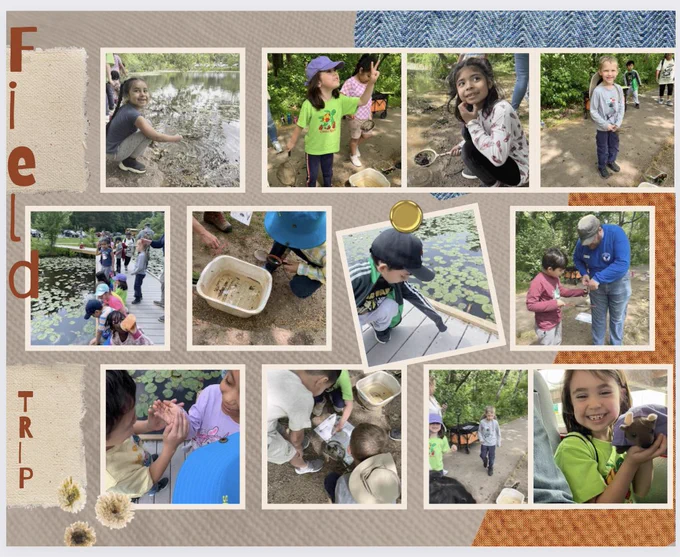 First grade students participating in the pond life lesson at Eleanor C. Lawrence Park.