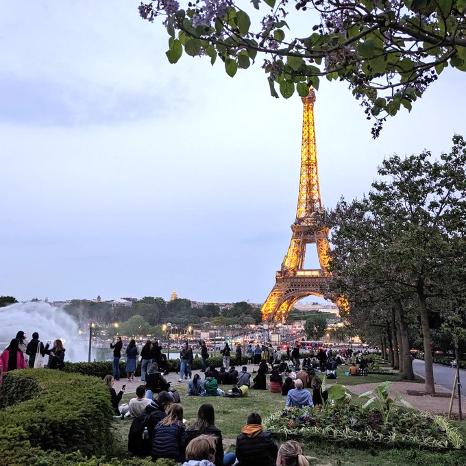 The Eiffel tower as seen from the Trocadéro terrasses in soft blue hour evening light with branches of a flowering tree in the foreground. And heaps of tourists.