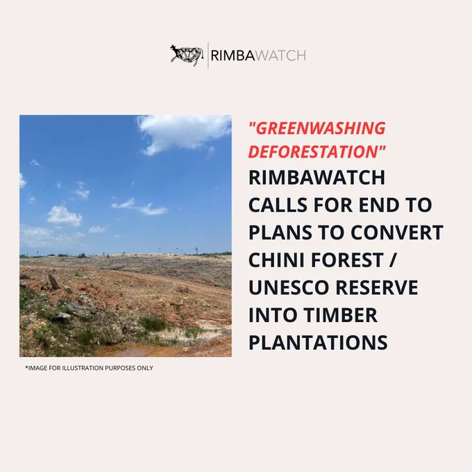 "Greenwashing deforestation" - RimbaWatch calls for end to plans to convert Chini Forest / UNESCO Reserve into timber plantations.

Image of a deforested area for illustration purposes