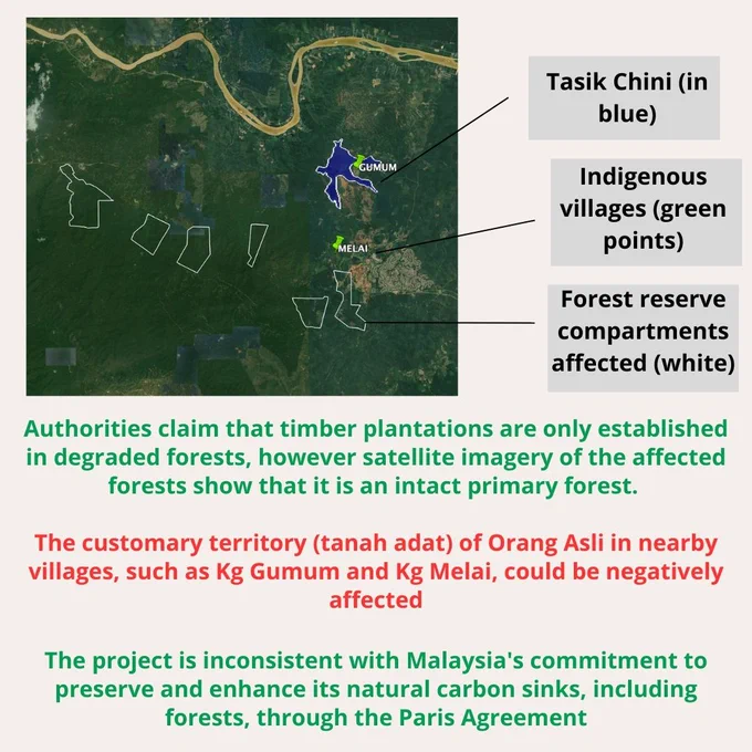 Map showing the Tasik chini, nearby Indigenous villages of Kg Gumum and Kg Melai, and the forest reserve compartments affected by the proposed project.

The text below reads:
"Authorities claim that timber plantations are only established in degraded forests, however satellite imagery of the affected forests show that it is an intact primary forest.

The customary territory (tanah adat) of Orang Asli in nearby villages, such as Kg Gumum and Kg Melai, could be negatively affected

The project is inconsistent with Malaysia's commitment to preserve and enhance its natural carbon sinks, including forests, through the Paris Agreement"