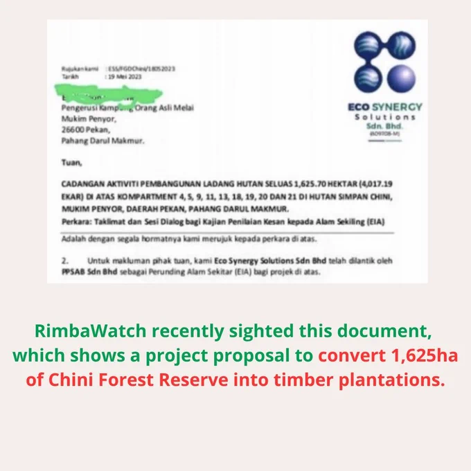 excerpt of the document sighted by RimbaWatch, which shows a project proposal to convert 1625ha of Chini Forest Reserve into timber plantations