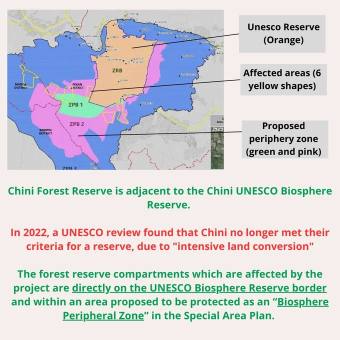Map showing the UNESCO reserve, the proposed periphery zone around the UNESCO reserve, and the forest reserve compartments affected by the proposed project.

Text below reads: 
"Chini Forest Reserve is adjacent to the Chini UNESCO Biosphere Reserve.

In 2022, a UNESCO review found that Chini no longer met their criteria for a reserve, due to "intensive land conversion"

The forest reserve compartments which are affected by the project are directly on the UNESCO Biosphere Reserve border and within an area proposed to be protected as an "Biosphere Peripheral Zone" in the Special Area Plan."
