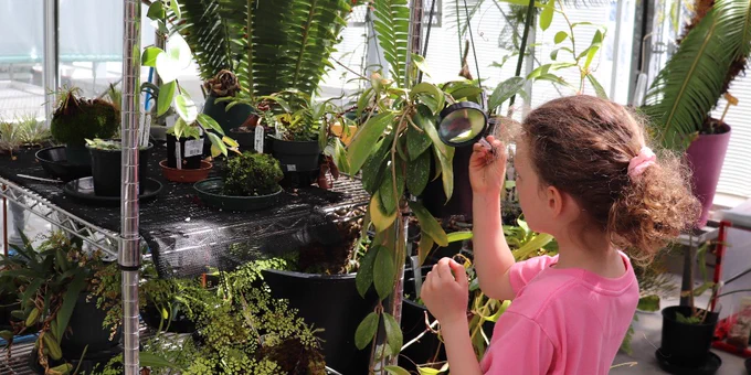 Young girl looking at plants through a magnifying glass. 