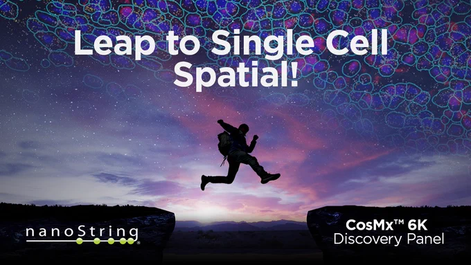 Leap to Single Cell Spatial! CosMx 6K Discovery Panel