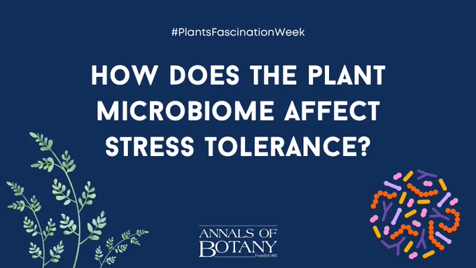 Question taken from New Phytologist article 'One hundred important questions facing plant science: an international perspective' by Emily Armstrong and co-authors. https://doi.org/10.1111/nph.18771