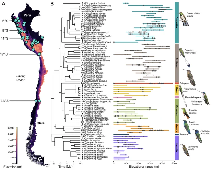 Figure 1 from Williamson et al. 2023, Ecology Letters