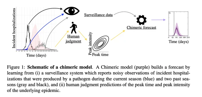 Figure 1:Schematic of a chimeric model.  A Chimeric model (purple) builds a forecast bylearning from (i) a surveillance system which reports noisy observations of incident hospital-izations that were produced by a pathogen during the current season (blue) and two past sea-sons (gray and black), and (ii) human judgment predictions of the peak time and peak intensityof the underlying epidemic.