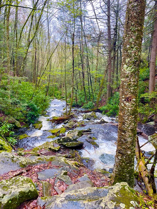 The Neversink River Unique Area. Photo by the DRBC.